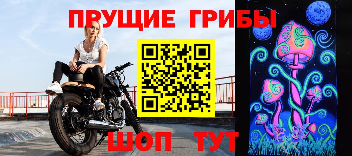 Сухой Лог  Галлюциногенные грибы ЛСД  Вход с VPN  Псилоцибиновые грибы мухоморы 